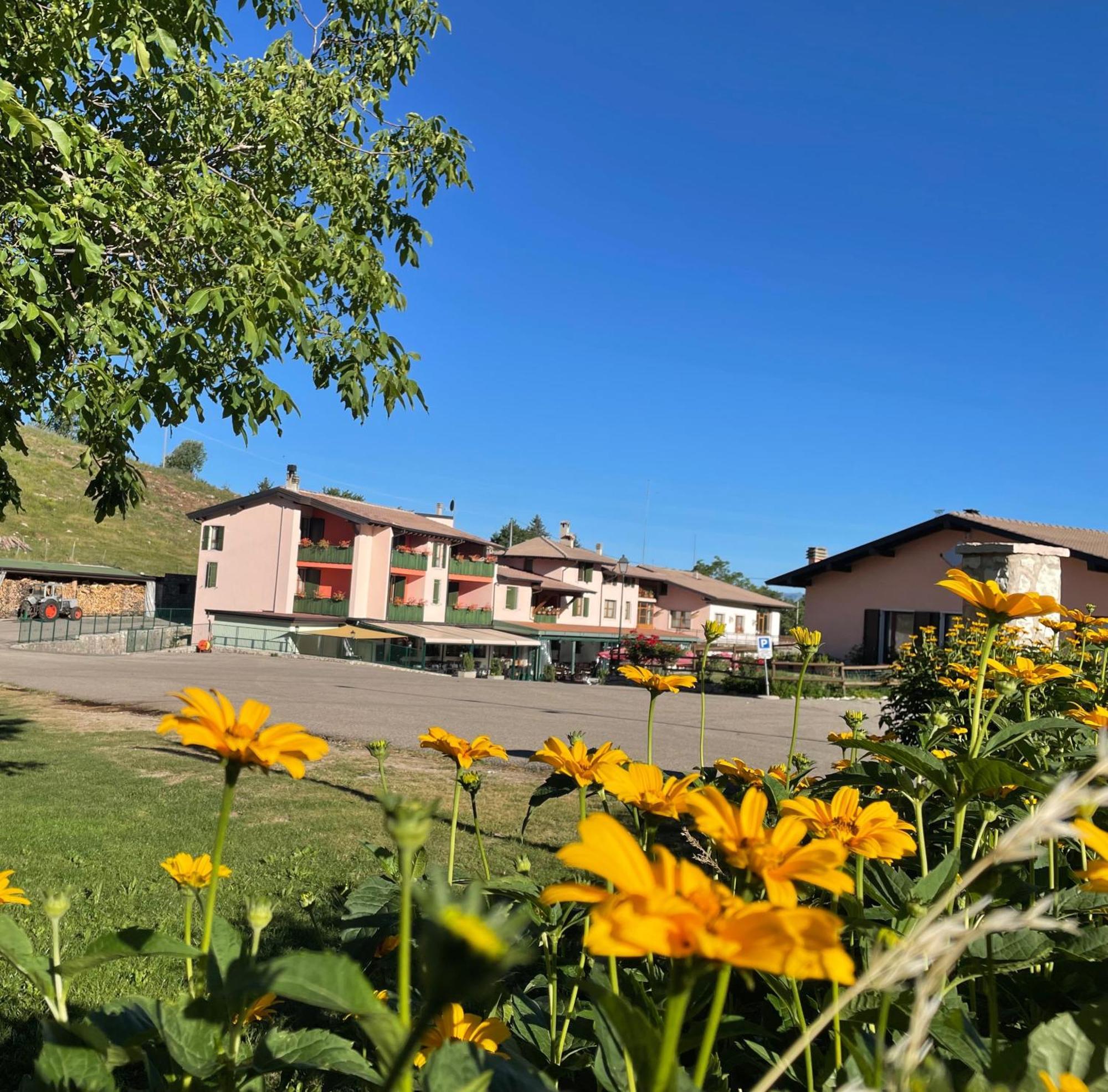 Hotel Edelweiss Сан-Дзено-ди-Монтанья Экстерьер фото